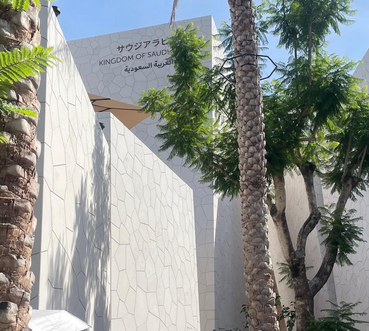 IMG_8348.jpg IMG_8348.jpg